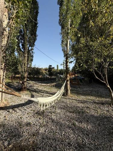 a hammock in the middle of a park with trees at Parpi Riverside in Pʼarpi