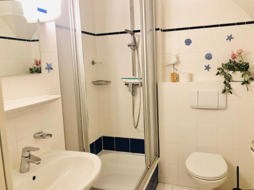 a bathroom with a shower and a toilet and a sink at Suite Meeresrauschen in Lobbe