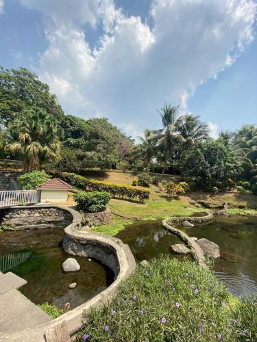 EscuintlaにあるVilla with pool in natureの木々のある公園にある岩のある川