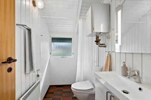 a white bathroom with a toilet and a sink at AE311-Aeroskobing-Hanses-Ager-11 in Ærøskøbing
