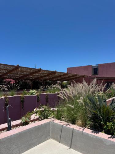 a garden in the middle of a building at Laiva Hotel San Jose by Tasman in San José del Cabo