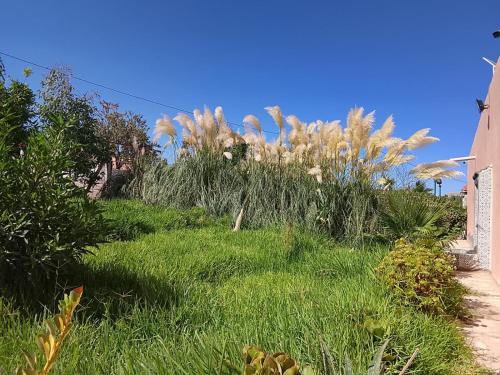 Κήπος έξω από το Tazouta Farm Villa with Private Pool & Mountain Views