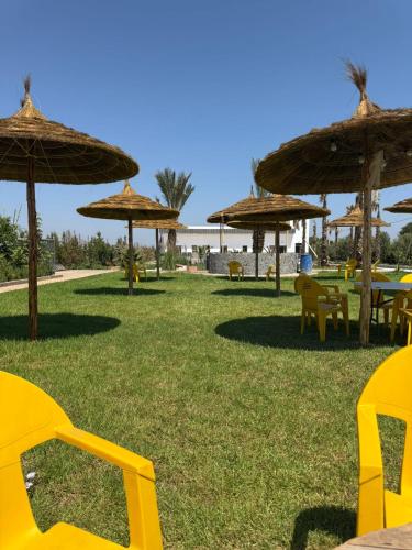 a group of tables and umbrellas on the grass at Appartement avec jardin route Saïdia in Berkawe