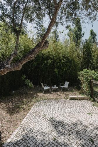 a patio with two benches and a tree at Quinta Do Miguel in Aldeia do Meco