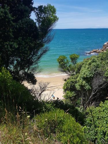 a view of a beach with trees and the ocean at Āporo bach - a country retreat in Tasman
