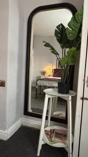 a potted plant on a stool in front of a mirror at The Liverpool Escape - 5 min walk to LFC Stadium, Sleeps 8, newly renovated entire home in Liverpool