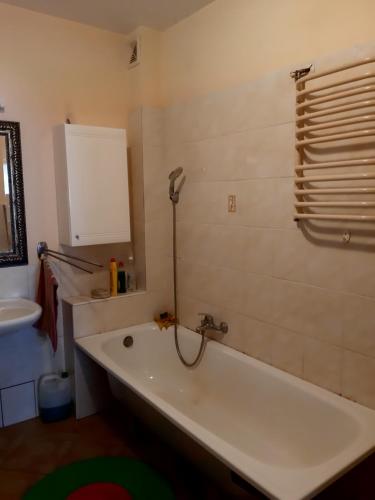 a bathroom with a bath tub and a sink at EkoTurystyka Natura Gwiazd - Green Velo - Workation Park - Ziołowy Klimat Bieszczad in Dubiecko