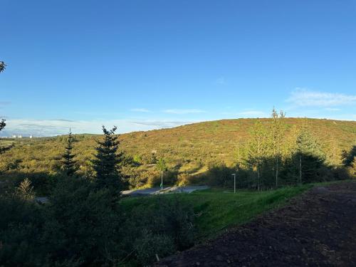 a grassy hill with trees on the side of a road at Modern and Cozy apartment in the city next to Heiðmörk, nature reserve - Birta Rentals in Garðabær