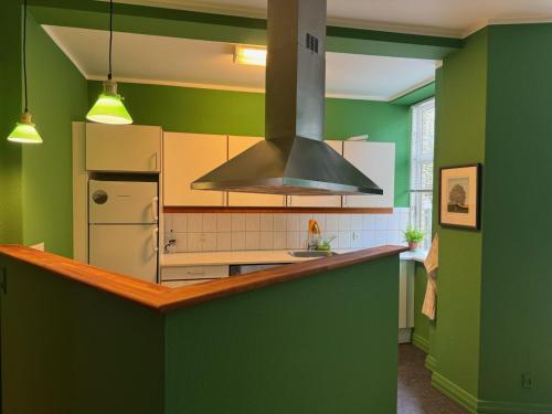 a kitchen with green walls and a stove top oven at GreenBrook Homes in Aalborg