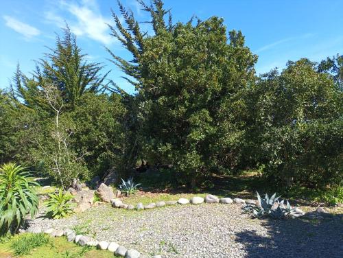 a garden with rocks and trees in the background at Eco Cabañas Algarrobo in Algarrobo