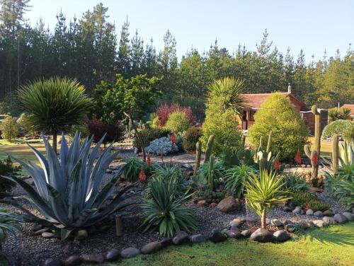 a garden with many different types of plants at Eco Cabañas Algarrobo in Algarrobo