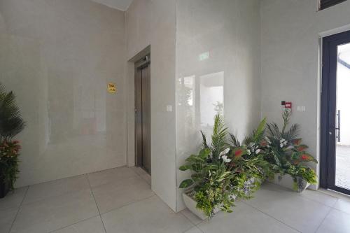 a hallway with plants on the walls of a building at לוי-קיישן מגוון דירות גן ופנטהאוזים וסוויטות נוף ברחוב הצנחנים in Tiberias