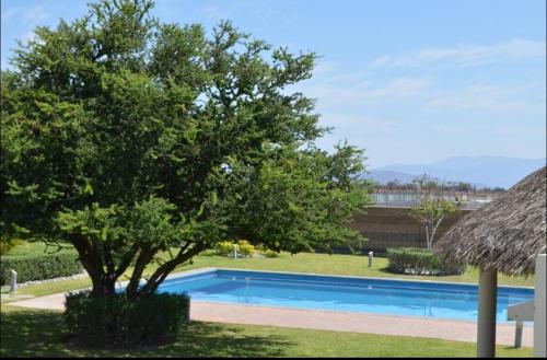 a swimming pool with a tree next to a building at CASALUNA frente alberca AirAc in Atlacholoaya