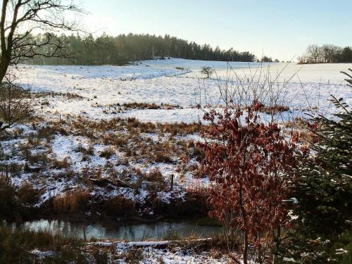 a snow covered field with trees and a field at Tranquil Riverside Retreat in Holstebro