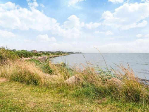a field of tall grass next to a body of water at Holiday apartment near town square in Ringkøbing
