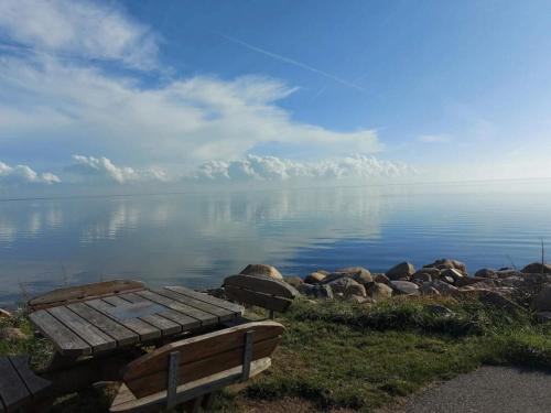 a bench sitting next to a body of water at Holiday apartment near town square in Ringkøbing