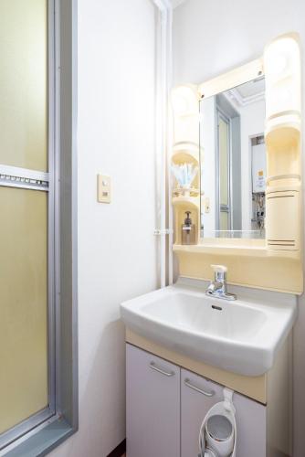 a bathroom with a sink and a mirror at Alice in Maruyama 円山公園近く マーケットすぐ in Sapporo