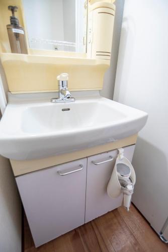 a bathroom with a white sink and a mirror at Alice in Maruyama 円山公園近く マーケットすぐ in Sapporo