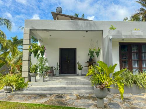 Zahrada ubytování Villa Amore Mirissa