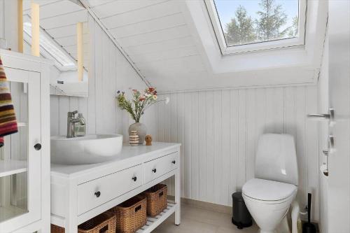 ein Bad mit einem Waschbecken und einem WC mit einem Dachfenster in der Unterkunft TV1661 Jerup - Blåbærvej 5 in Jerup