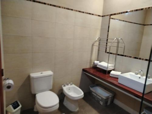 a bathroom with a toilet and a sink at Posada Cavieres Wine Farm in Maipú
