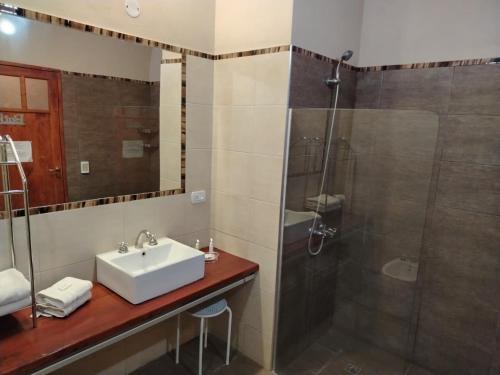 a bathroom with a sink and a shower at Posada Cavieres Wine Farm in Maipú
