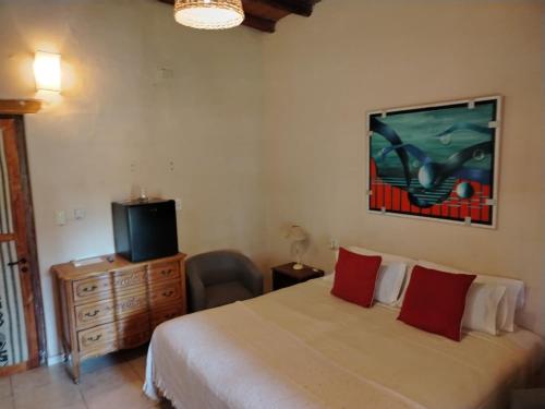 a bedroom with a bed with red pillows and a tv at Posada Cavieres Wine Farm in Maipú
