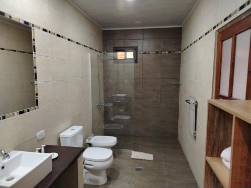 a bathroom with a toilet and a sink and a shower at Posada Cavieres Wine Farm in Maipú