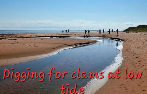 Foto dalla galleria di M&Y WARM Inn a Stratford