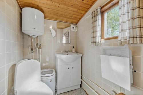 a small bathroom with a toilet and a sink at K20086-Store-Fuglede-Aengsvej-10 in Store Fuglede