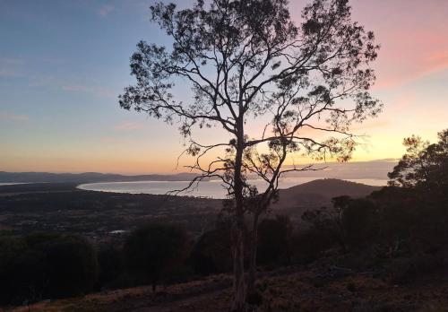 a tree on a hill with a view of a lake at Mount Rumney Escapes Seaview House 2 - Eagle House in Mount Rumney