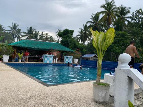 a pool with a palm tree and people in the water at Niknik in Cabadbaran