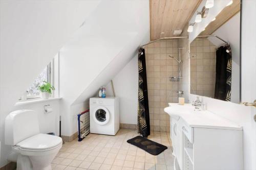 a bathroom with a toilet sink and a washing machine at AE285-Aeroskobing-Hanses-Ager-4 in Ærøskøbing