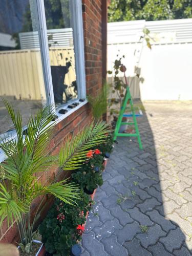 a green ladder sitting outside of a window with plants at House in Nedlands, Venice in Perth