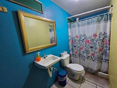 a bathroom with a sink and a toilet with a shower curtain at Cabinas Miss Miriam 2 in Tortuguero