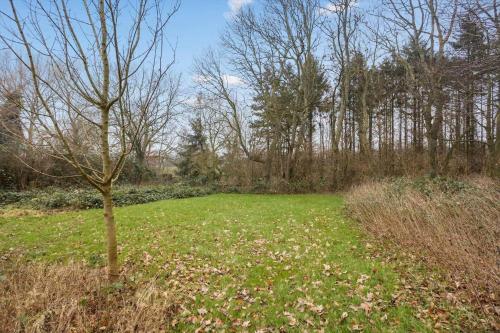 a green field with a tree in the middle at AE307-Soby-Aero-Godthab-2 in Leby