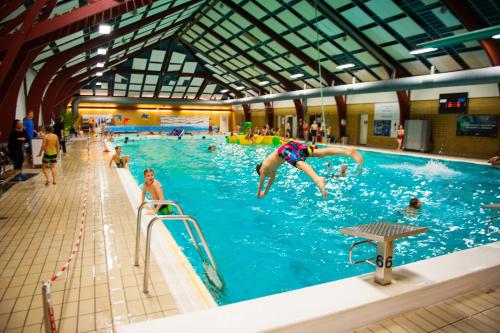 a person jumping into a swimming pool in a gym at Fyrtårn Tommerup Hostel in Tommerup