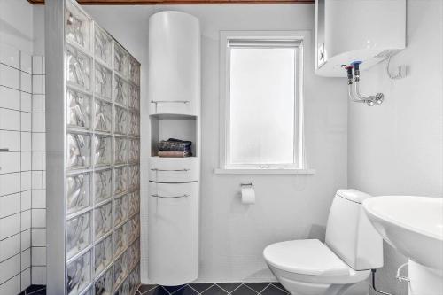 a white bathroom with a toilet and a sink at AE237-Aeroskobing-Hanses-Ager-19 in Ærøskøbing