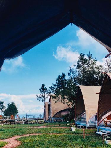 Taman di luar Bamboo Glamping Tà Xùa