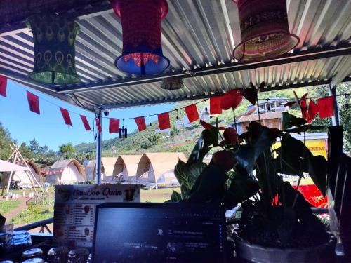 Gambar di galeri bagi Bamboo Glamping Tà Xùa di Bắc Yên