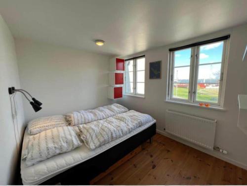 a bedroom with a bed and two windows at AE302-Aeroskobing-Smedegade-19 in Ærøskøbing