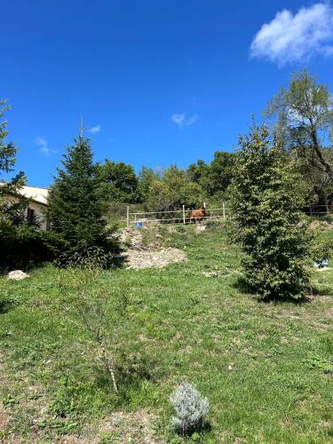 a field with a fence and a horse in the background at B&B Il Rifugio della Felicità Civitella in Setri