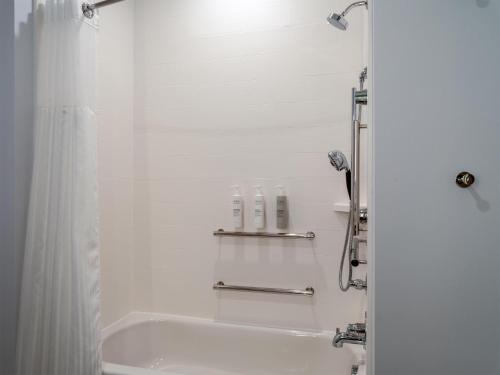 a white bathroom with a tub and a shower at Hilton Garden Inn Austin Central in Austin