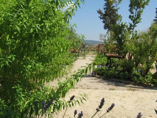 a path through a garden with benches and plants at Hotel La Torricella in Capalbio