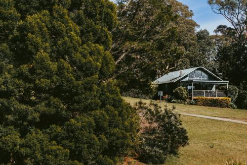 Gallery image of Jimmys Cabin - Kangaroos, Kookaburras, sleeps 4! in Kangaroo Valley