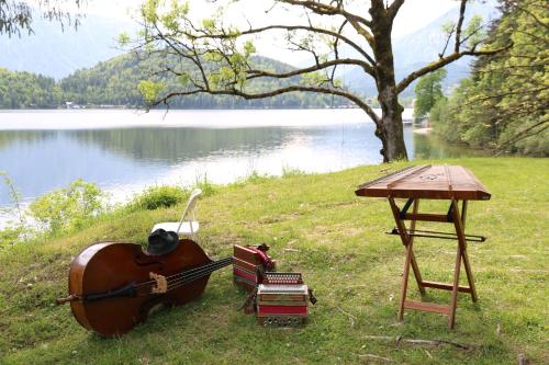 a wooden violin sitting on the grass near a lake at Villa Leni - Premium Apartments in Bad Ischl