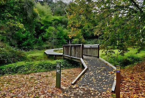 Ein Garten an der Unterkunft Koora Nest - Secluded Bushland Escape in the Hills