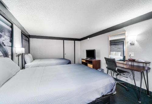 Un ou plusieurs lits dans un hébergement de l'établissement Super 8 by Wyndham Lantana West Palm Beach