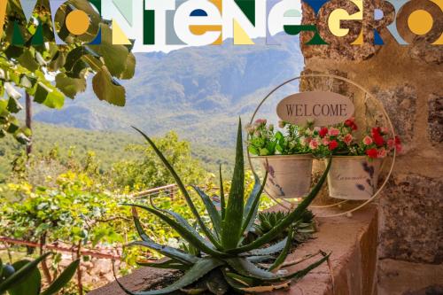 a magazine cover with plants on a wall at Ethno House Ivanovic in Virpazar