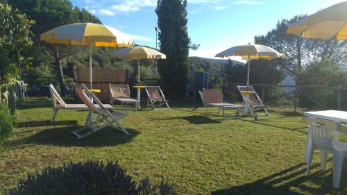 a group of chairs and umbrellas in a yard at Locanda Mossa Dei Barbari in Buriano